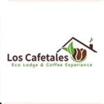 logo 7